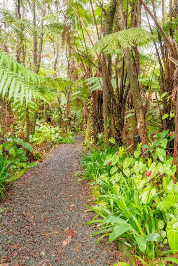 Apartamento Kilauea Iki- Hale Kumu La'Au Volcano Exterior foto